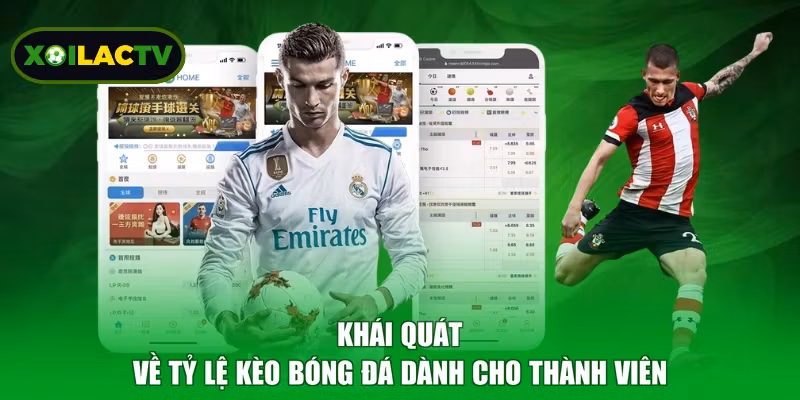Khái quát về tỷ lệ kèo bóng đá dành cho thành viên