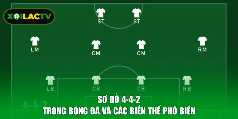 Sơ Đồ 4-4-2 Trong Bóng Đá Và Các Biến Thể Phổ Biến