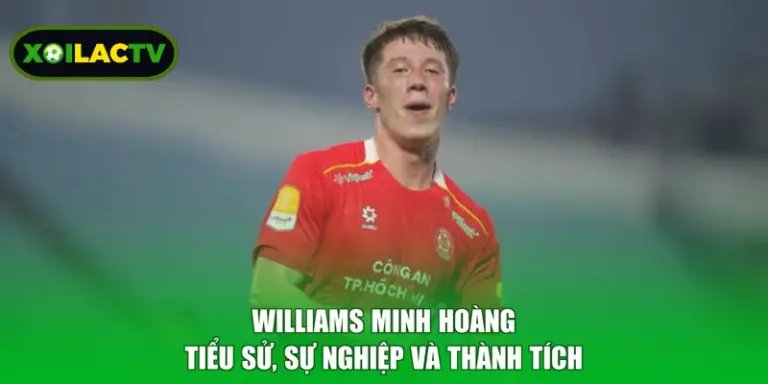 Williams Minh Hoàng - Tiểu Sử, Sự Nghiệp Và Thành Tích